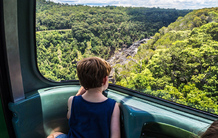 【独家午餐】凯恩斯库兰达热带雨林经典缆车+火车套票(百年餐厅可选午餐)