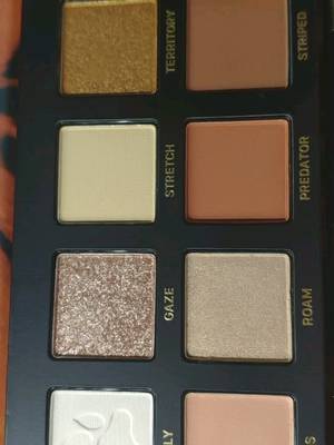 超级喜欢，壳子上的动物都是浮雕的，这么便宜送的东西还超多，惊喜到了！