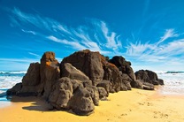 墨尔本菲利普企鹅岛+威尔逊岬国家公园两日游(月光野生动物园+企鹅归巢)