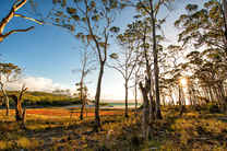 塔斯马尼亚环岛中文经典五日游（亚瑟港+酒杯湾+摇篮山）