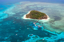 【早鸟特惠】凯恩斯大堡礁40分钟/60分钟经典观光飞行(俯瞰绿岛+多处外堡礁+棕榈湾)