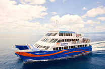 【早鸟特惠】凯恩斯太阳恋人号摩尔外海大堡礁一日游(船去船回+可选直升机/深潜/海底漫步)