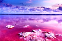 珀斯粉红湖中文两日游(粉红湖+尖峰石阵+兰瑟林滑沙+卡尔巴里+格林诺历史遗迹)