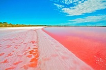 【INS精选】墨尔本粉红湖+大洋路中文包车两日精华深度游(浪漫日落/十二门徒/微管家服务/车载wifi/市区接送)