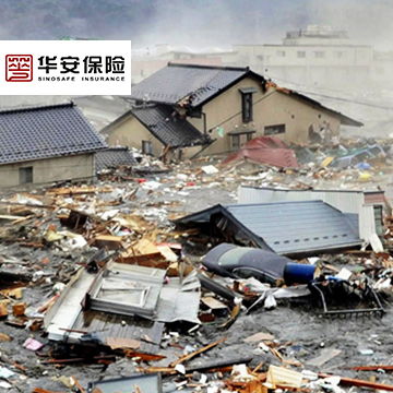 华安满堂福家庭财产保险