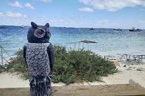 【早鸟特惠】西澳粉红仙境两日游(尖峰石阵+捞龙虾+卡尔巴里观星+2次粉红湖+羊驼) 珀斯往返