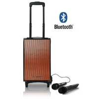 Pure Acoustics Wireless Portable Bluetooth Pa Speaker System