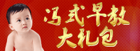 冯式早教宝典 给宝宝最好的启蒙教育 科学育儿百科