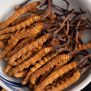 2条西藏那曲冬虫夏草野生虫草正品特产老人男人滋补