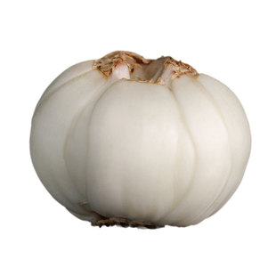 新鲜百合兰州鲜百合食用甜百合异特级纯天然甘肃土特产500g大果