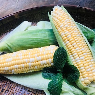 水果玉米新鲜甜玉米生吃即食云南现摘带箱10斤装玉米棒包邮嫩玉米