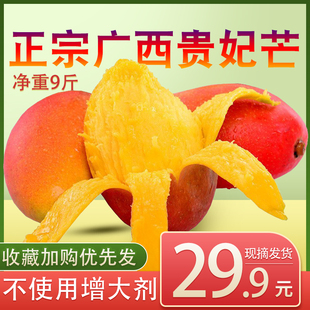 正宗现摘广西百色红金龙贵妃芒果净重9斤非10斤海南新鲜小中大果