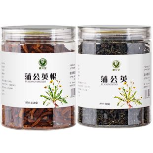 鹏安堂蒲公英根蒲公英叶长白山野生蒲公英茶天然婆婆丁纯干非特级