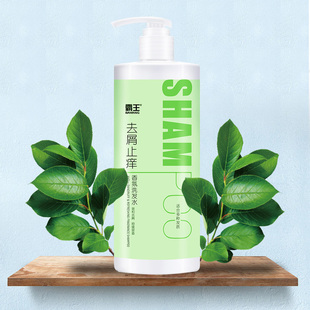 霸王去屑止痒香氛洗发水480g清爽控油洗发露男女通用