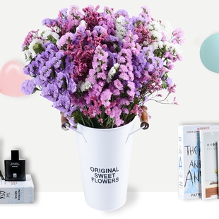 勿忘我干花花束满天星家居摆设装饰北欧小清新客厅摆件鲜花称斤卖