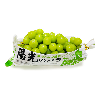 现摘现发 阳光玫瑰葡萄新鲜无籽香印青提晴王葡萄水果3斤顺丰包邮
