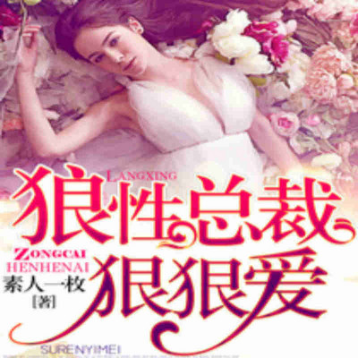 狼性总裁狠狠爱