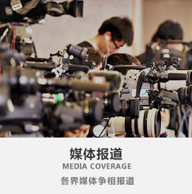 媒体报道