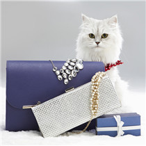 有趣的手袋 其实比经典款还长寿