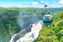 【早鸟特惠】凯恩斯库兰达中文休闲一日游（雨林缆车+雨林公园水陆战车+观光火车）