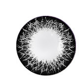 博士伦蕾丝棕两周抛美瞳隐形眼镜6片装