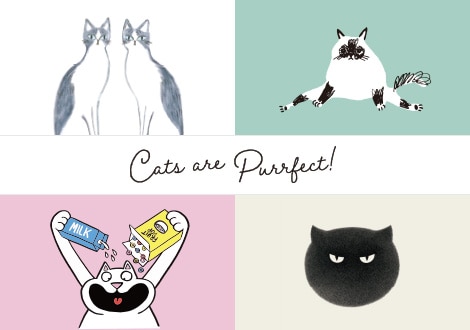 CATS ARE PURRFECT UT COLLECTION