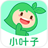 小叶子陪练APP