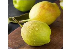 【代售】库尔勒香梨