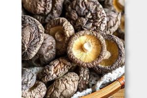 香菇500g（全国包邮）