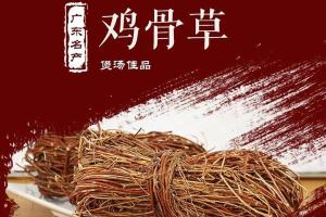 连州野生鸡骨草500g（全国包邮）