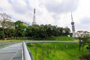 【跟团游】广州1天＊海陆空＊打卡广州 云道 连通工程、登广州塔、有轨电车赏花城美景、豪叹自助餐＊广东人游广州＜佛山＞