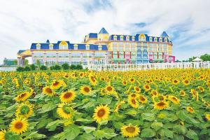 【尚·生态】番禺、南沙3天＊大夫山森林公园＊沙湾古镇、十九涌＊百万葵园＊水鸟世界＊大角山海滨公园＜入住超豪华南沙花园酒店，含3正2早＞