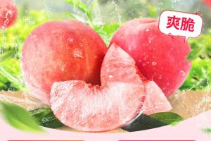 【代售】连州红玉桃超值预售5斤（广东省内包邮）